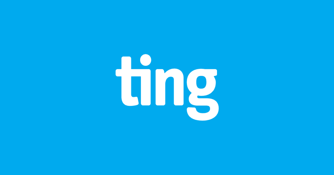 Ting A Detailed Review of Their Services 2023